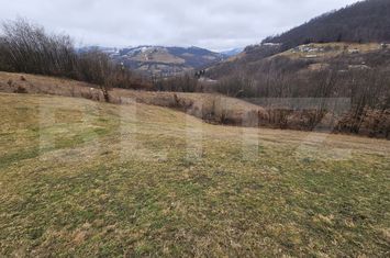 Teren de vanzare ABRUD - Alba anunturi imobiliare Alba