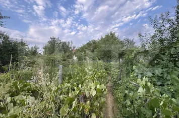 Casă - 4 camere de vanzare PODARI - Dolj anunturi imobiliare Dolj