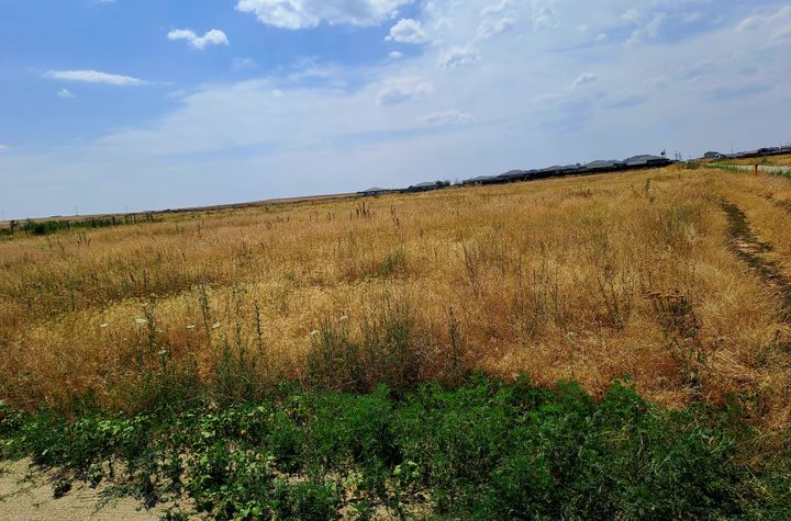 Teren de vanzare CARCEA - Dolj anunturi imobiliare Dolj