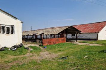 Teren de vanzare CRAIOVA - Dolj anunturi imobiliare Dolj