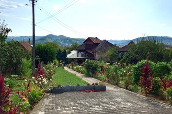 Casă - 4 camere de vanzare VEST - Hunedoara anunturi imobiliare Hunedoara