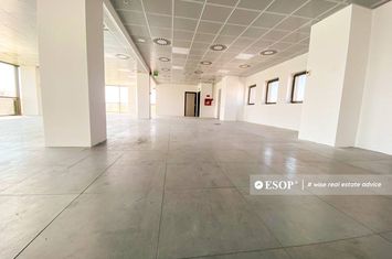 Birou de vanzare AVIATORILOR - Bucuresti anunturi imobiliare Bucuresti