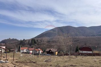 Teren 1,697mp Cisnadioara / Strada Silvicultorilor anunturi imobiliare Sibiu
