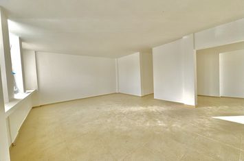 Spațiu comercial de inchiriat IASI - Iasi anunturi imobiliare Iasi