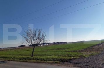 Teren de vanzare SANTANDREI - Bihor anunturi imobiliare Bihor
