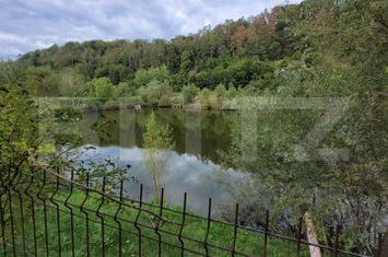 Vilă - 7 camere de vanzare TIMISOARA - Timis anunturi imobiliare Timis