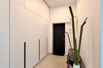 Vilă individuală | teren generos | zona Pipera | Școala Americană anunturi imobiliare Bucuresti