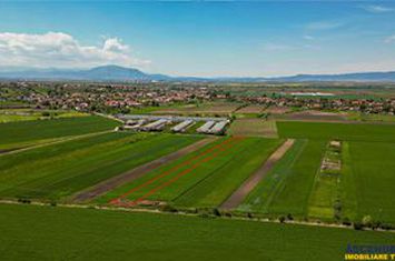 Teren Extravilan de vanzare BOD - Brasov anunturi imobiliare Brasov