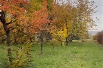 Teren de vanzare PODU ILOAIEI - Iasi anunturi imobiliare Iasi