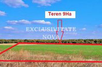 0% ! Teren 9 Ha Intravilan, Exit A3 Snagov Ghermanesti Bucuresti-Ploiesti anunturi imobiliare Bucuresti