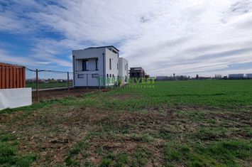 VÂNZARE TEREN 22.000 MP PUZ APROBAT - BALOTEȘTI anunturi imobiliare Bucuresti