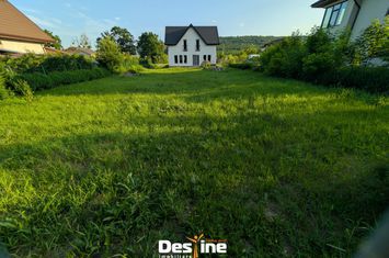 Vilă - 4 camere de vanzare DOBROVAT - Iasi anunturi imobiliare Iasi