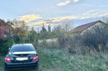 1007mp teren Peris, deschidere 14ml anunturi imobiliare Bucuresti