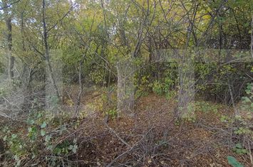 Teren de vanzare CIURILA - Cluj anunturi imobiliare Cluj