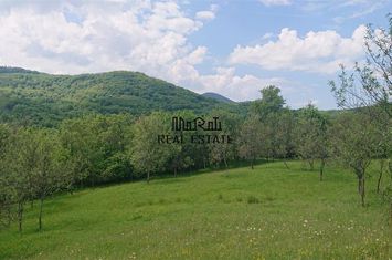Teren Intravilan de vanzare BAIA DE CRIS - Hunedoara anunturi imobiliare Hunedoara