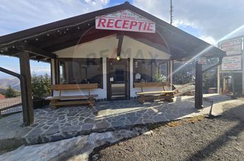 VILA ORHIDEEA - PENSIUNE  DE VANZARE IN STATIUNEA  PALTINIS JUD. SIBIU anunturi imobiliare Sibiu