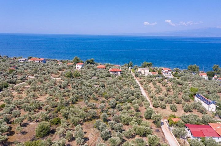 Parcelă 2.072 mp în Skala Kallirachis, 170 m de mare anunturi imobiliare Grecia
