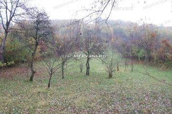 Teren de vânzare în Bănești (zona Semicentrală) anunturi imobiliare Prahova