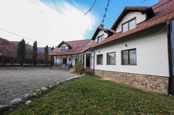 Vilă spațioasă de vânzare în Predeluț, Bran | 2000mp anunturi imobiliare Brasov