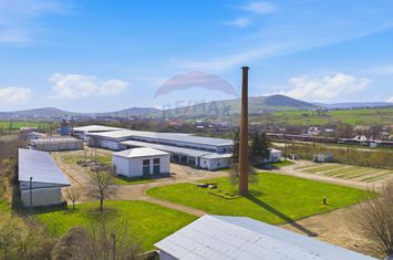 Spațiu industrial 4.4Ha Teren și 15.000mpc - Zona Industrială - Hârlău anunturi imobiliare Iasi