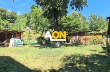 Vila pretabila pensiune + restaurant,  10 camere,  1000MP teren anunturi imobiliare Alba