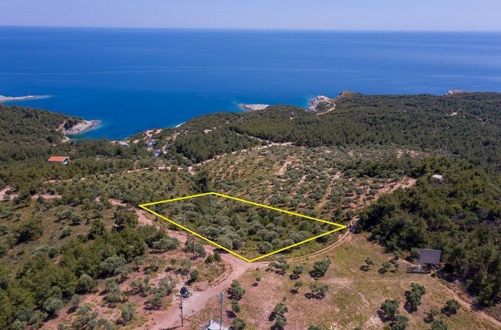 Teren construibil 5.107,70 mp, Astrida (Thassos) anunturi imobiliare Grecia