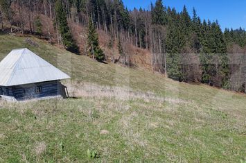 Teren de vanzare VATRA DORNEI - Suceava anunturi imobiliare Suceava