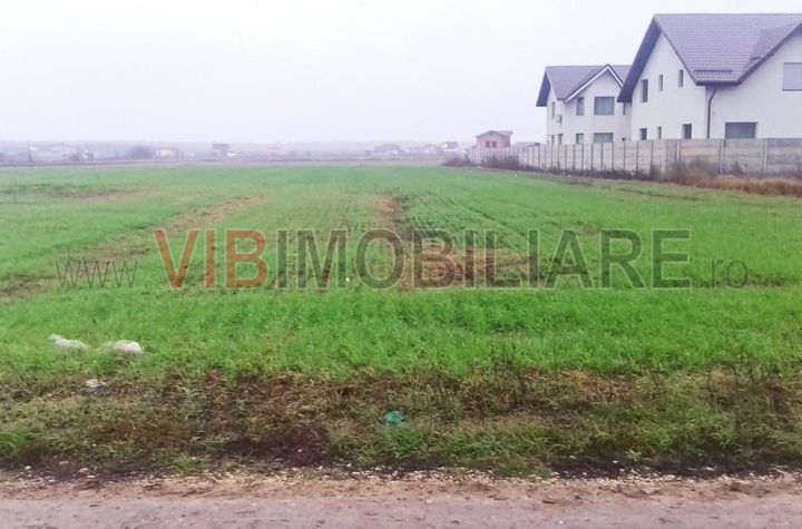 Dragomiresti-Vale - Strada Ulmului, teren intravilan, suprafata 3.750 mp anunturi imobiliare Bucuresti