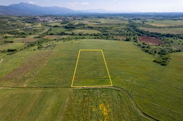 Teren agricol 7579 mp în Gerontas, Chrysoupoli anunturi imobiliare Grecia