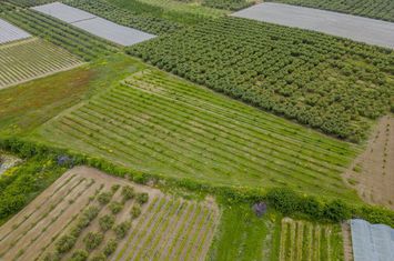 Teren construibil 13.750 mp în Orfani anunturi imobiliare Grecia