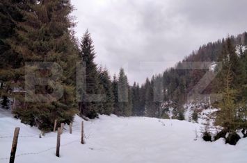 Casă - 5 camere de vanzare DEALU BAJULUI - Alba anunturi imobiliare Alba