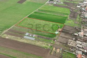 Teren Intravilan de vanzare GIRISU DE CRIS  - Bihor anunturi imobiliare Bihor