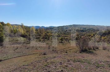 Teren de vanzare VALEA LUNGA-CRICOV - Dambovita anunturi imobiliare Dambovita