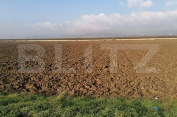 Teren de vanzare ALBA IULIA - Alba anunturi imobiliare Alba