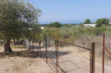 Teren 2.088 mp în Ormos Prinou, vedere la mare anunturi imobiliare Grecia