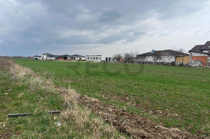 Teren Intravilan de vanzare SANMARTIN  - Bihor anunturi imobiliare Bihor