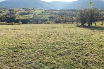 Teren de vanzare RASINARI - Sibiu anunturi imobiliare Sibiu