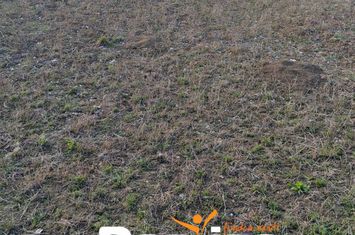 Teren de vanzare MOGOSESTI - Iasi anunturi imobiliare Iasi