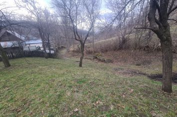 Teren de vânzare în Comarnic (zona Poiana) anunturi imobiliare Prahova
