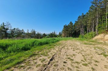 Teren de vanzare CLUJ-NAPOCA - Cluj anunturi imobiliare Cluj