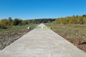 Vânzare teren 550 mp -  Balotești (DN1) anunturi imobiliare Bucuresti