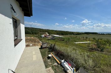 Vilă - 4 camere de vanzare ARONEANU - Iasi anunturi imobiliare Iasi