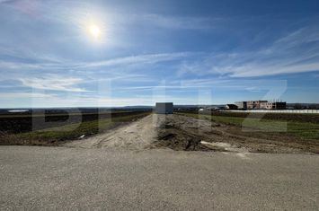Spațiu industrial de inchiriat CRAIOVA - Dolj anunturi imobiliare Dolj
