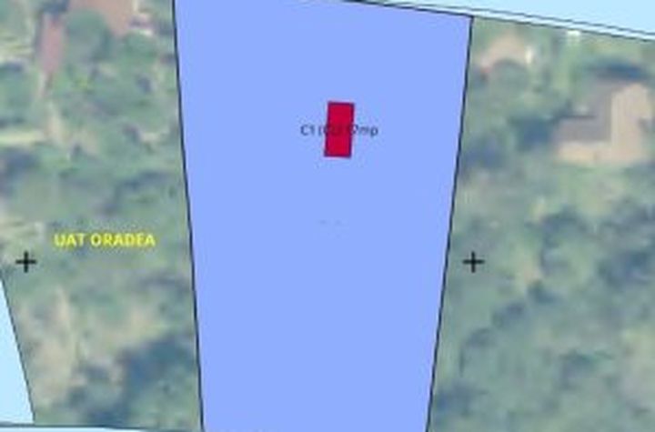 Teren de vanzare PODGORIA - Bihor anunturi imobiliare Bihor