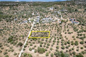 Parcelă 2320 mp cu vedere la mare în Astrida, Thassos anunturi imobiliare Grecia