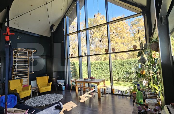 Vilă - 4 camere de vanzare VALEA URSULUI - Iasi anunturi imobiliare Iasi