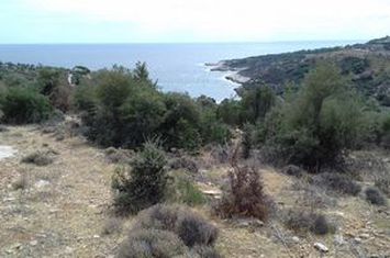 Teren 17.000 mp în Astrida, Thassos, la 100 m de mare anunturi imobiliare Grecia