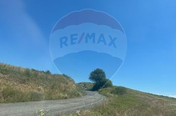 Teren extravilan de vanzare in Dealul Daii, Rosia anunturi imobiliare Sibiu