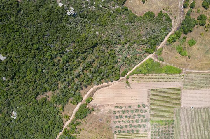 Teren construibil 4.310 mp lângă plaja Ammolofoi anunturi imobiliare Grecia