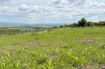 Teren 9461 mp cu panorama in Cartierul Podgoria din Oradea anunturi imobiliare Bihor